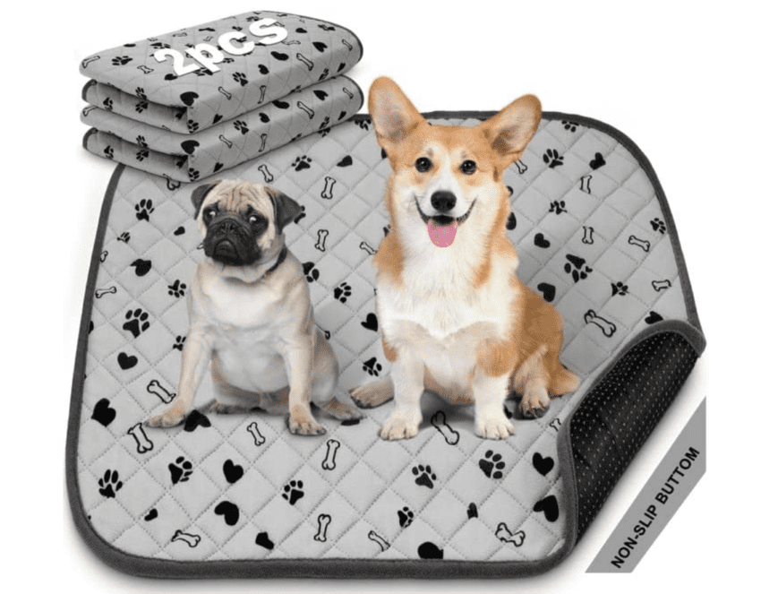 Washable Dog Pee Pads: Ultimate Guide for Puppy Potty Training