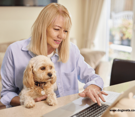 The Future of Pet Insurance: Trends to Watch The Future of Pet Insurance: Trends to Watch