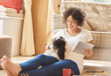 How Pet Insurance Can Help You in an Emergency How Pet Insurance Can Help You in an Emergency