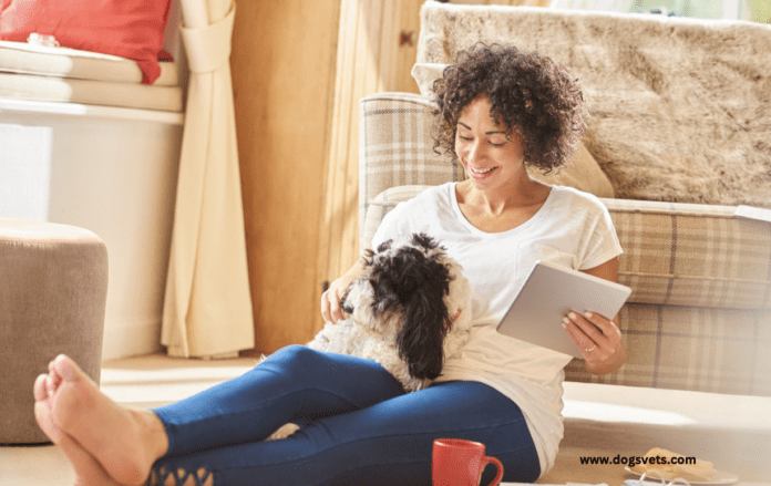 How Pet Insurance Can Help You in an Emergency