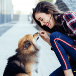 10 Fun Gift Ideas for Pet Lovers 10 Fun Gift Ideas for Pet Lovers