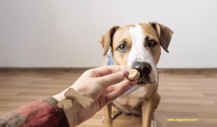 Homemade Dog Treats Recipe: A Comprehensive Guide