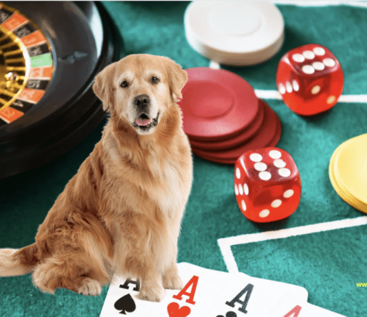 Is it illegal to leave your dog in the car in Las Vegas? Is it illegal to leave your dog in the car in Las Vegas?