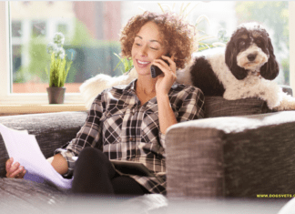 Protecting Your Pup: The Importance of Pet Insurance for Dog Owners Protecting Your Pup: The Importance of Pet Insurance for Dog Owners