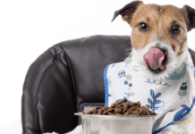 What is the Pet Food addition? What is the Pet Food addition?