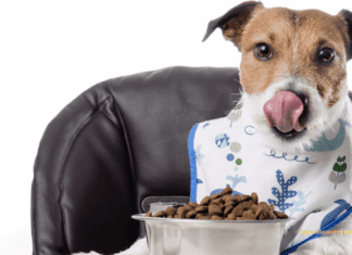 What is the Pet Food addition?