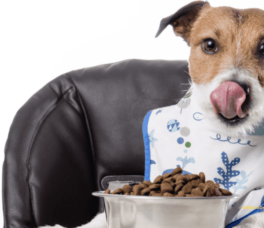 What is the Pet Food addition? What is the Pet Food addition?