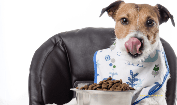 What is the Pet Food addition?