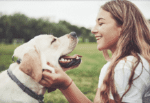 How To Read Your Dog’s Behavior And Body Language How To Read Your Dog's Behavior And Body Language