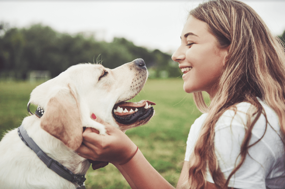 How To Read Your Dog's Behavior And Body Language
