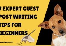 7 Expert Guest Post Writing Tips for Beginners 7 Expert Guest Post Writing Tips for Beginners