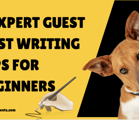 7 Expert Guest Post Writing Tips for Beginners 7 Expert Guest Post Writing Tips for Beginners