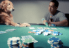 Maximizing Your Dog's Safety and Happiness at the Casino