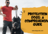 Protection Dogs: A Comprehensive Guide