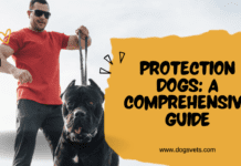 Protection Dogs: A Comprehensive Guide Protection Dogs: A Comprehensive Guide
