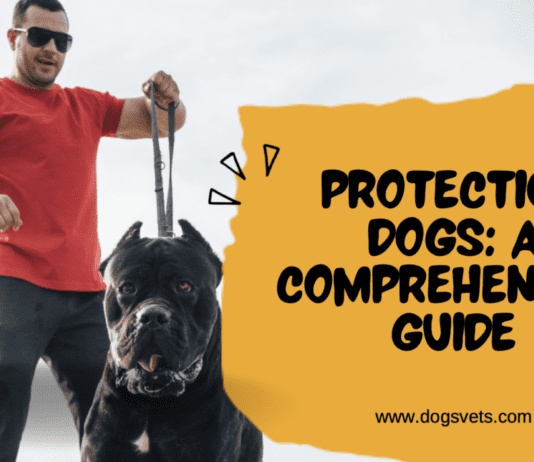 Protection Dogs: A Comprehensive Guide Protection Dogs: A Comprehensive Guide