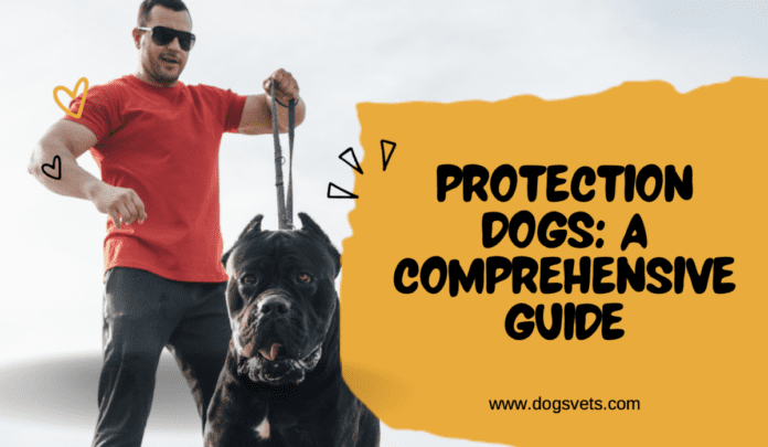 Protection Dogs: A Comprehensive Guide