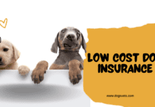 Low Cost Dog Insurance: Protect Your Pup Without Breaking the Bank Low Cost Dog Insurance: Protect Your Pup Without Breaking the Bank