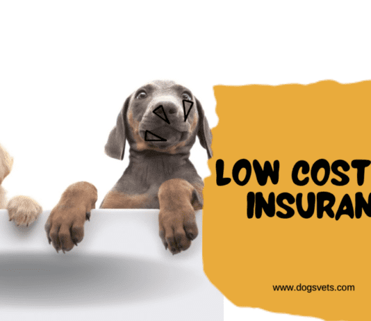 Low Cost Dog Insurance: Protect Your Pup Without Breaking the Bank Low Cost Dog Insurance: Protect Your Pup Without Breaking the Bank