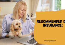 Recommended Dog Insurance: A Comprehensive Guide Recommended Dog Insurance: A Comprehensive Guide