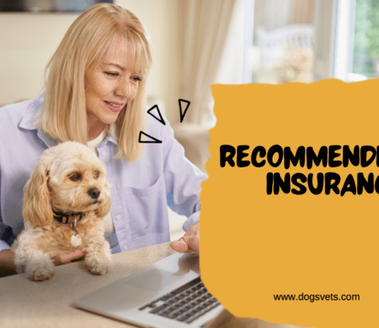 Recommended Dog Insurance: A Comprehensive Guide Recommended Dog Insurance: A Comprehensive Guide
