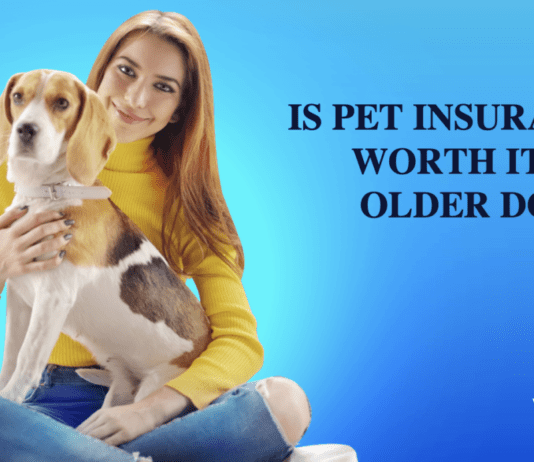 Is Pet Insurance Worth it for Older Dogs? A Comparative Analysis Is Pet Insurance Worth it for Older Dogs? A Comparative Analysis