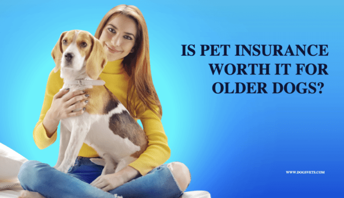 宠物保险是否值得为年长的狗购买？ 比较分析