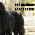 Pet Insurance for Large Breed Dogs: A Complete Guide Pet Insurance for Large Breed Dogs: A Complete Guide