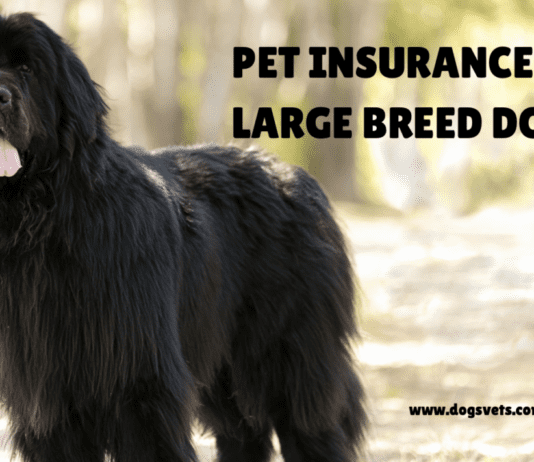Pet Insurance for Large Breed Dogs: A Complete Guide Pet Insurance for Large Breed Dogs: A Complete Guide