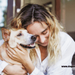 25 Pet Insurance Quotes for Dogs: A Comprehensive Guide