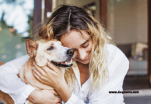 25 Pet Insurance Quotes for Dogs: A Comprehensive Guide 25 Pet Insurance Quotes for Dogs: A Comprehensive Guide