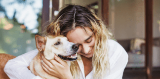 25 Pet Insurance Quotes for Dogs: A Comprehensive Guide 25 Pet Insurance Quotes for Dogs: A Comprehensive Guide