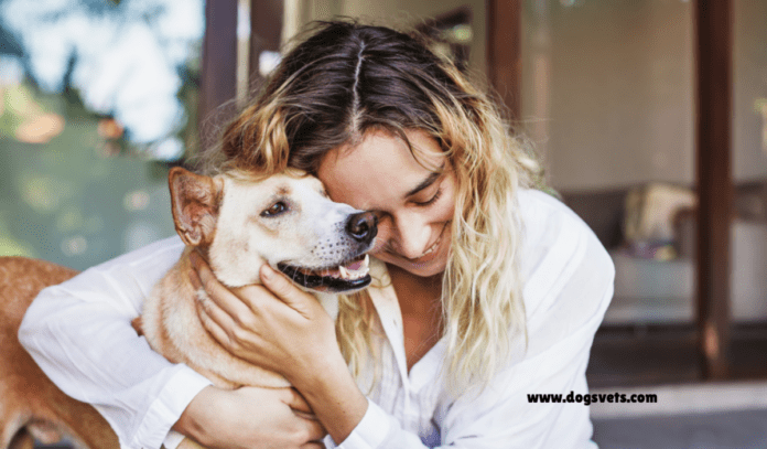 25 Pet Insurance Quotes for Dogs: A Comprehensive Guide