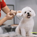 Mobile Dog Grooming Near Me: Your Ultimate Guide Mobile Dog Grooming Near Me: Your Ultimate Guide