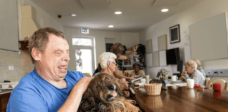 The Power of Pet Therapy: How Dogs Can Improve Mental Health The Power of Pet Therapy: How Dogs Can Improve Mental Health