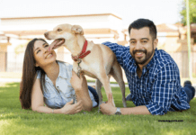 Best Dog-Friendly Destinations: Exploring the Great Outdoors Best Dog-Friendly Destinations: Exploring the Great Outdoors