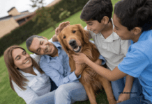 Top 10 Dog Breeds for Families: A Comprehensive Guide Top 10 Dog Breeds for Families: A Comprehensive Guide to Choosing Your Perfect Pet