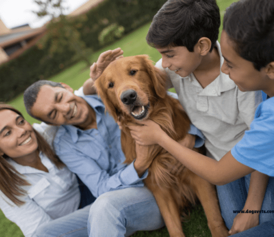Top 10 Dog Breeds for Families: A Comprehensive Guide Top 10 Dog Breeds for Families: A Comprehensive Guide to Choosing Your Perfect Pet