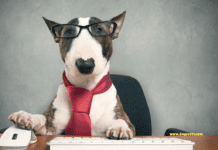 Mind-Blowing Dog Facts That Will Shock You! Mind-Blowing Dog Facts That Will Shock You!