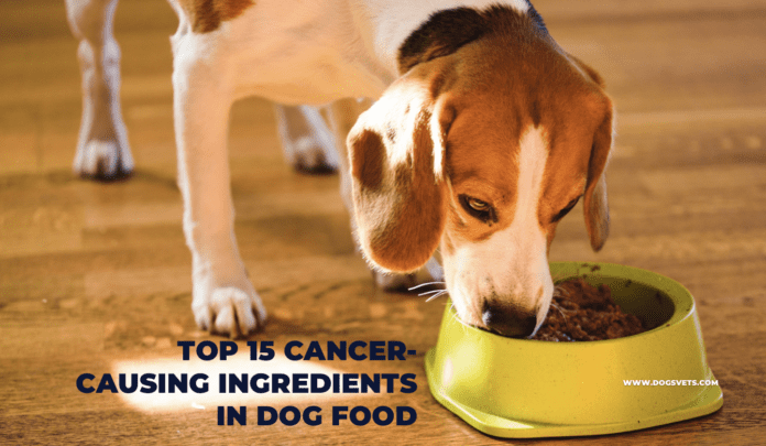 Top 15 Cancer-Causing Ingredients in Dog Food