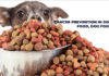 Ultimate Guide to Cancer Prevention in Dog Food Ultimate Guide to Cancer Prevention in Dog Food