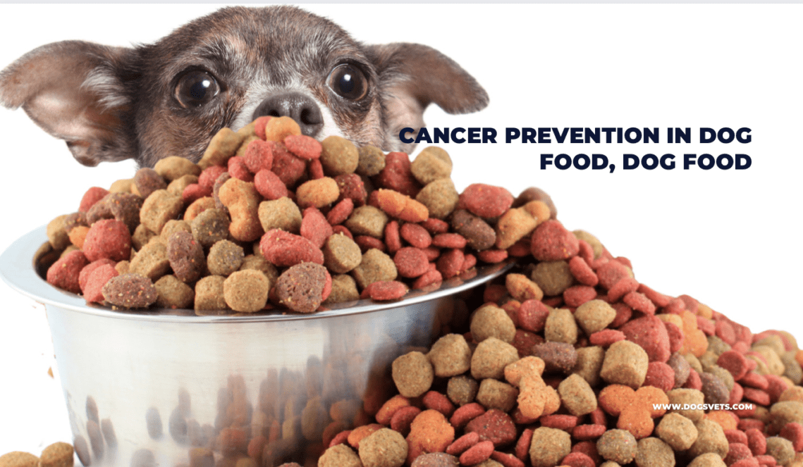 Ultimate Guide to Cancer Prevention in Dog Food