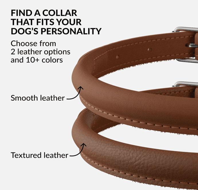 How to Clean Stinky Leather Dog Collars