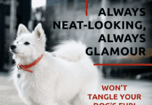 How to Clean Stinky Leather Dog Collars: A Comprehensive Guide How to Clean Stinky Leather Dog Collars: A Comprehensive Guide