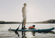 Best Dog Breeds for adventure: 15 Breeds That Love to Explore and Have Fun Best Dog Breeds for adventure: 15 Breeds That Love to Explore and Have Fun