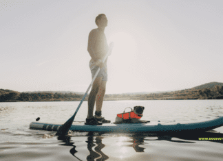 Best Dog Breeds for adventure: 15 Breeds That Love to Explore and Have Fun Best Dog Breeds for adventure: 15 Breeds That Love to Explore and Have Fun