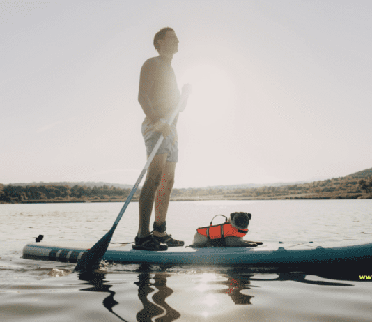 Best Dog Breeds for adventure: 15 Breeds That Love to Explore and Have Fun Best Dog Breeds for adventure: 15 Breeds That Love to Explore and Have Fun