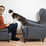 How to Find the Best Cat Advisor: Factors to Consider?