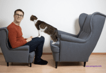 How to Find the Best Cat Advisor: Factors to Consider? How to Find the Best Cat Advisor: Factors to Consider?