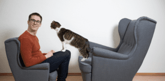 How to Find the Best Cat Advisor: Factors to Consider? How to Find the Best Cat Advisor: Factors to Consider?